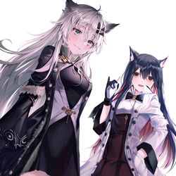 This is a pixiv picture whose title is テキサス 拉普兰德.