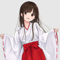 This is a pixiv picture whose title is 巫女さん.
