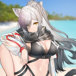 This is a pixiv picture whose title is シュヴァルツ.