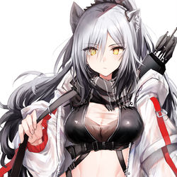 This is a pixiv picture whose title is シュヴァルツさん.