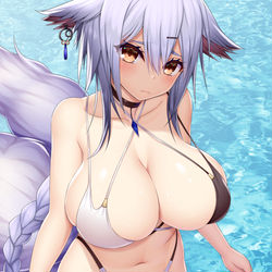 This is a pixiv picture whose title is 土佐！.