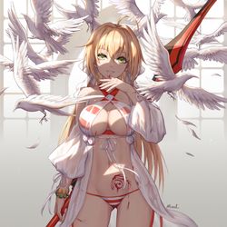 This is a pixiv picture whose title is ネロ~ new~~.