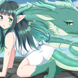 This is a pixiv picture whose title is 風龍の娘.