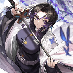 This is a pixiv picture whose title is 胡蝶しのぶ.