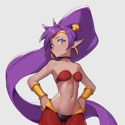 This is a pixiv picture whose title is シャンティ.