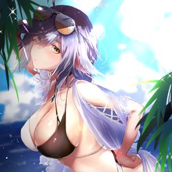 This is a pixiv picture whose title is 土佐.