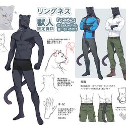 This is a pixiv picture whose title is でみめん設定資料おまとめ.