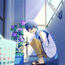 This is a pixiv picture whose title is 朝顔.
