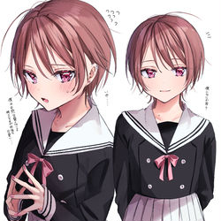 This is a pixiv picture whose title is 重度のシスコン爽やかイケメン女子高生.