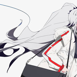 This is a pixiv picture whose title is シュヴァルツ.