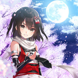 This is a pixiv picture whose title is 夜桜川内.