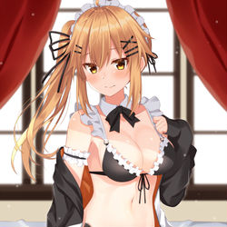 This is a pixiv picture whose title is メイド水着.