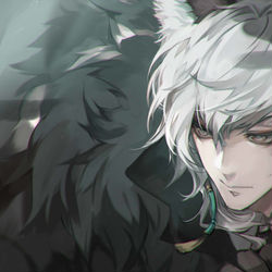 This is a pixiv picture whose title is シルバーアッシュ.