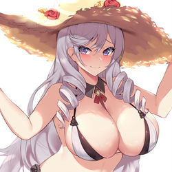 This is a pixiv picture whose title is アルジェリー.