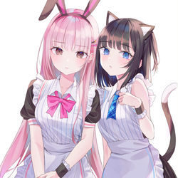 This is a pixiv picture whose title is ウサギャルxネコーハイ.