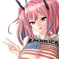 This is a pixiv picture whose title is 星条旗.