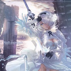 This is a pixiv picture whose title is 「月の涙」.