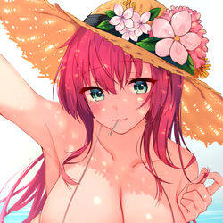 This is a pixiv picture whose title is 自撮りシュルクーフ.