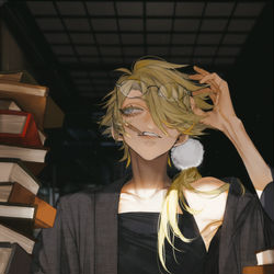 This is a pixiv picture whose title is 獅子王.