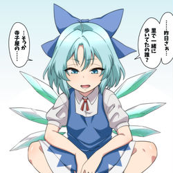 This is a pixiv picture whose title is ご機嫌ナナメなチルノちゃん.