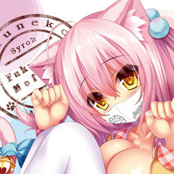 This is a pixiv picture whose title is 【受注生産】布マスク～福猫シアミアキスマスク～.