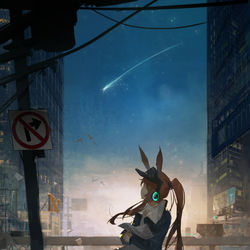 This is a pixiv picture whose title is 流星.