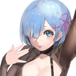 This is a pixiv picture whose title is レム.