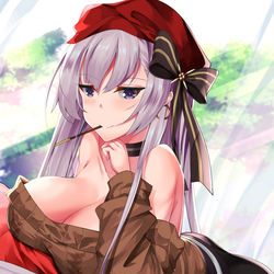 This is a pixiv picture whose title is ベルファスト.