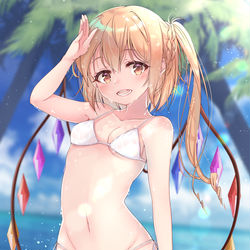 This is a pixiv picture whose title is 夏フラン.