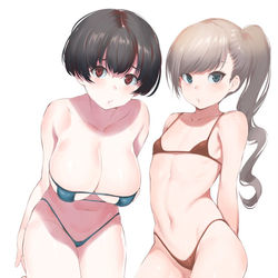 This is a pixiv picture whose title is マイクロビキニ論争.