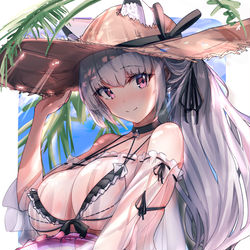 This is a pixiv picture whose title is アルヴィナちゃサマー.