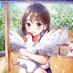 This is a pixiv picture whose title is 鶏.