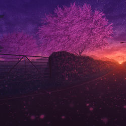 This is a pixiv picture whose title is Street lights.