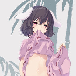 This is a pixiv picture whose title is てゐ.