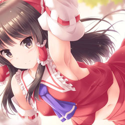 This is a pixiv picture whose title is 博麗の腋.