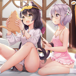 This is a pixiv picture whose title is 猫との朝.