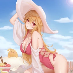 This is a pixiv picture whose title is リシュリュー.