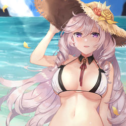 This is a pixiv picture whose title is 水着アルジェリーさん.