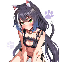 This is a pixiv picture whose title is 猫キャル.