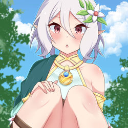 This is a pixiv picture whose title is コッコロちゃん.