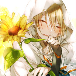 This is a pixiv picture whose title is 君との日を願ったこと.