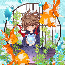 This is a pixiv picture whose title is 私はきっと金魚.
