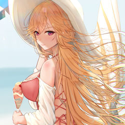 This is a pixiv picture whose title is リシュリュー.