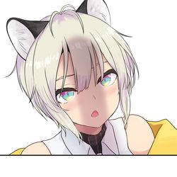 This is a pixiv picture whose title is 畫豹.