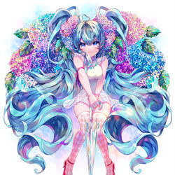 This is a pixiv picture whose title is 紫陽花ミク.