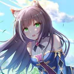This is a pixiv picture whose title is 黒猫凯露.