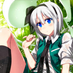 This is a pixiv picture whose title is 濡れ妖夢ちゃん！.