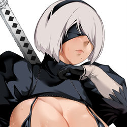 This is a pixiv picture whose title is 2B.