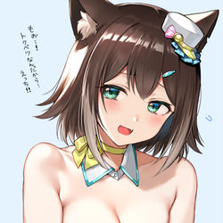This is a pixiv picture whose title is 猫しか勝たん.
