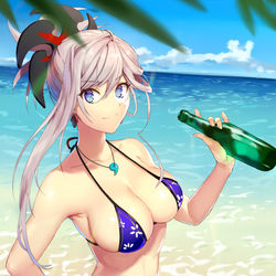 This is a pixiv picture whose title is 真夏の武蔵.